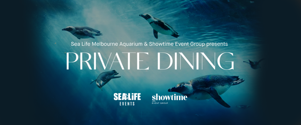 Showtime Event Group Corporate Events, Parties and Weddings