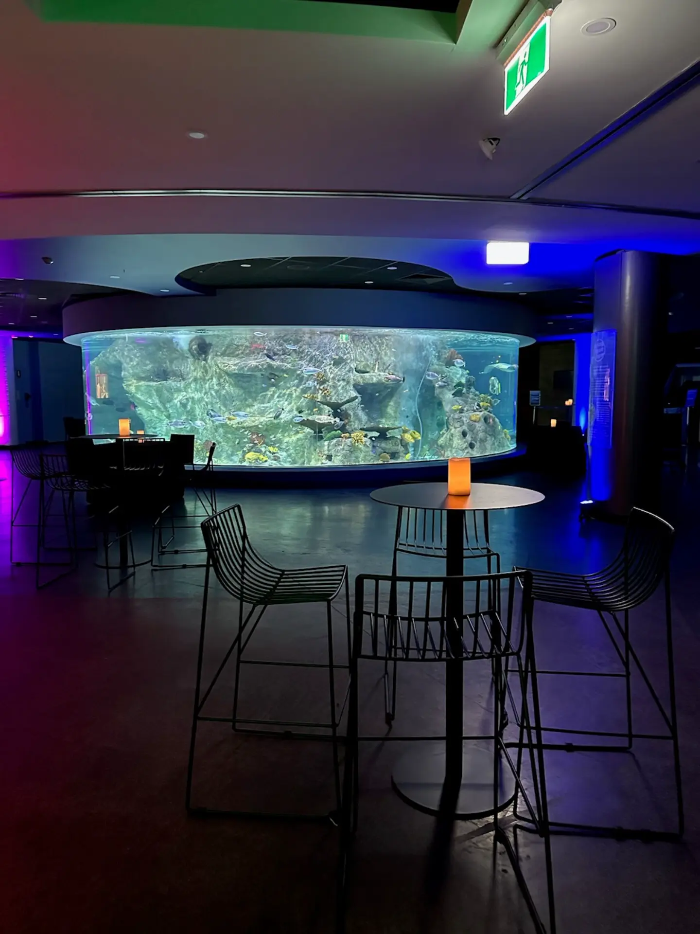 SEALIFE-CoralAtoll-Setup-6