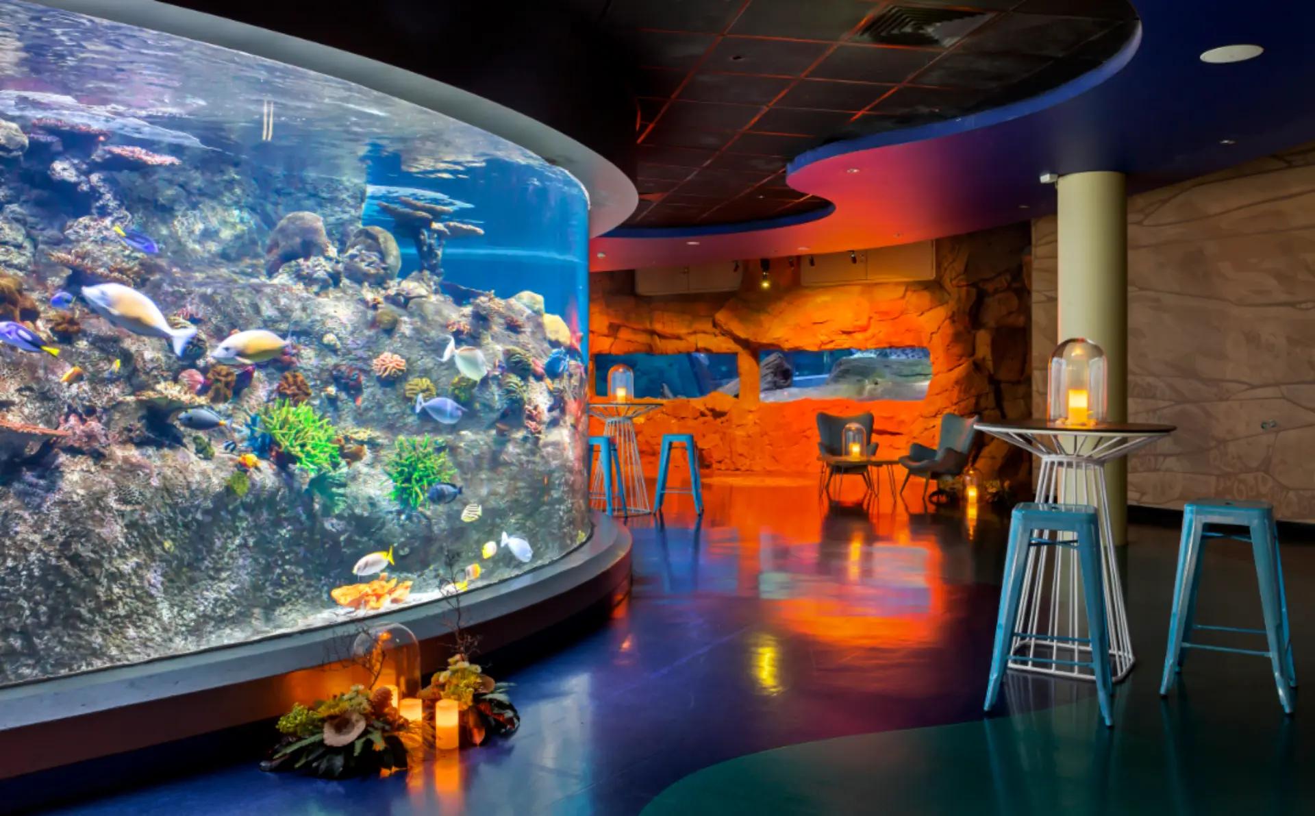 SEALIFE-CoralAtoll-Setup-8