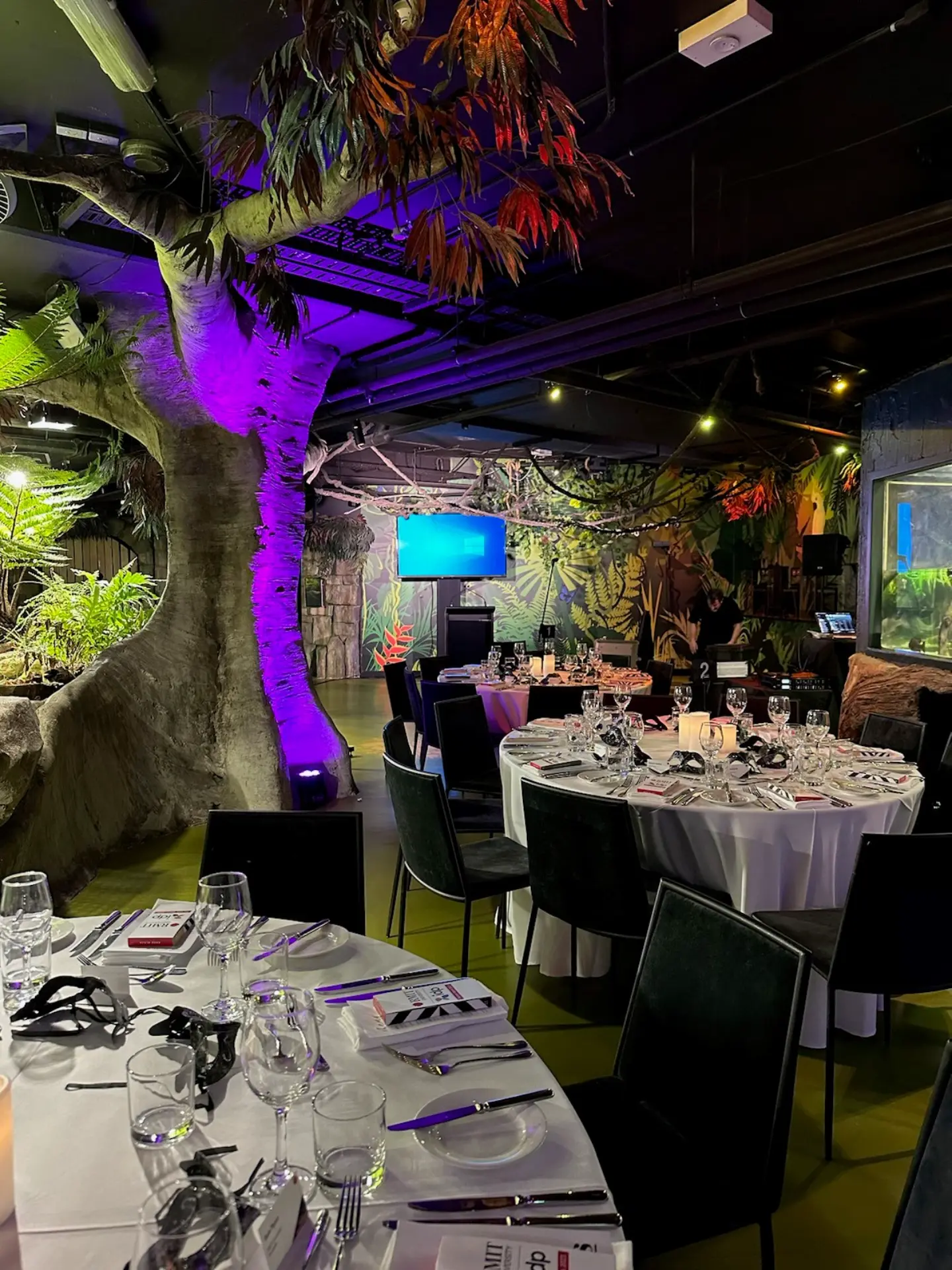 SEALIFE-Rainforest-Setup-7